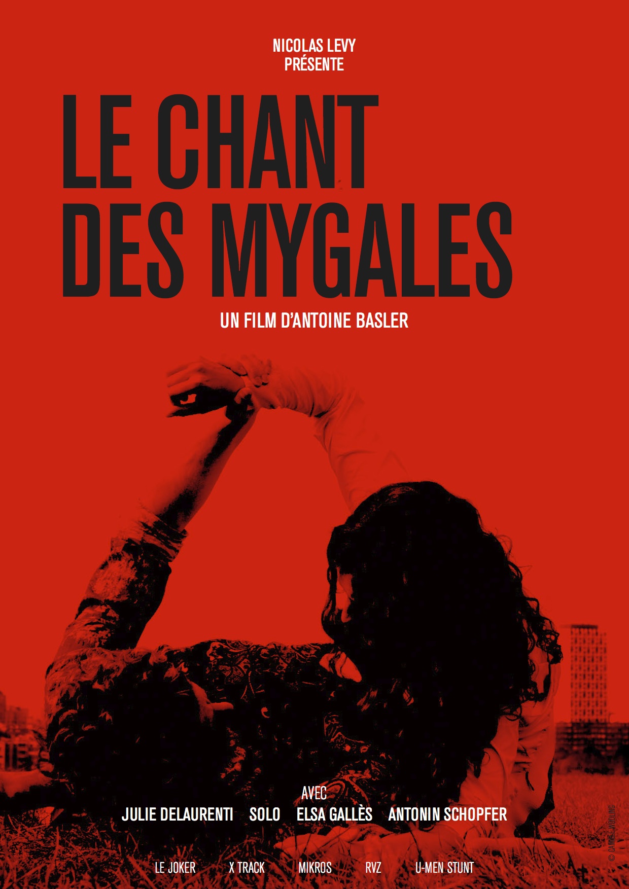 Le chant des mygales (2015)