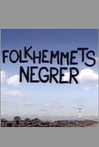 Primary photo for Folkhemmets negrer