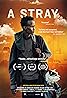 A Stray (2016) Poster