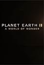 Planet Earth II: A World of Wonder (2017)