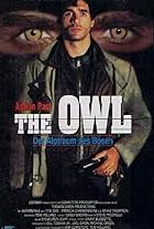 The Owl