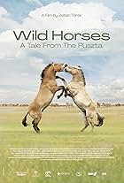 Wild Horses: A Tale from the Puszta