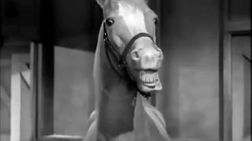 Trailer for Mister Ed: Season Two