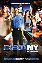 Gary Sinise and Sela Ward in CSI: NY (2004)