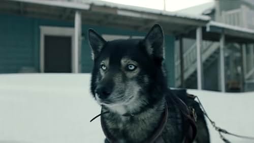 'Togo' is the untold true story set in the winter of 1925 that treks across the terrain of the Alaskan tundra for adventure that will test the strength, courage and determination of one man, Leonhard Seppala, and his lead sled dog, Togo.