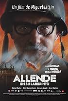 Allende en su laberinto