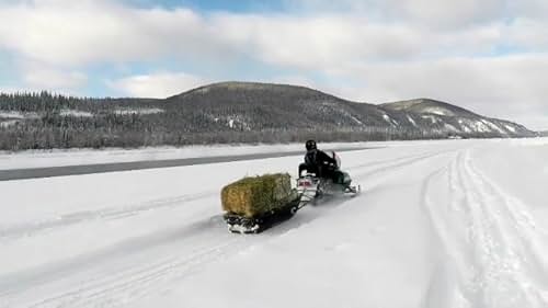 What happens when an ordinary family, living just south of the Arctic Circle, bans all grocery store food from their house for one year? Add 3 skeptical teenagers, 1 reluctant husband, no salt, no caffeine, no sugar, -40 temperatures.