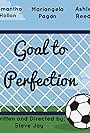 Goal to Perfection (2016)