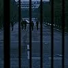 Rose Byrne, Jeremy Renner, Raymond Waring, Imogen Poots, and Mackintosh Muggleton in 28 Weeks Later (2007)