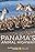 Panama's Animal Highway