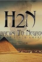 Ronald Dalton Jr. in Hebrews to Negroes: Wake Up Black America (2018)