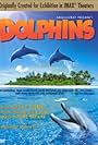 Dolphins (2000)