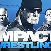 Hulk Hogan, Kurt Angle, and Steve Borden in TNA iMPACT! Wrestling (2004)