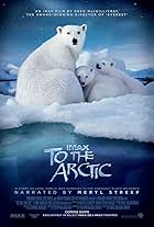 To the Arctic 3D