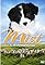 Mist: The Tale of a Sheepdog Puppy's primary photo