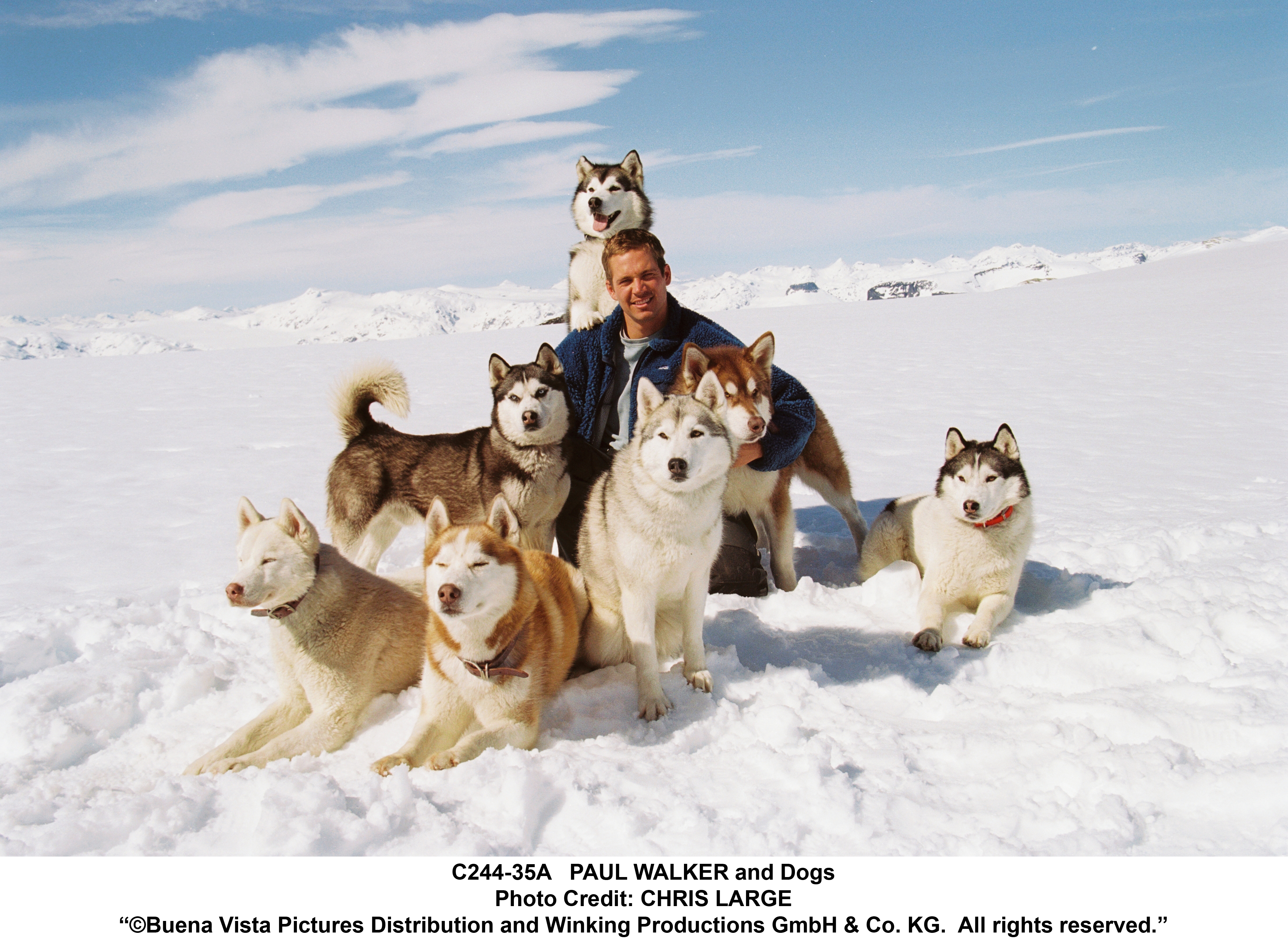 Paul Walker in Eight Below (2006)