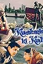 Kashmir Ki Kali (1964)