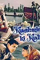 Kashmir Ki Kali