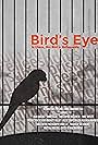 Bird's Eye (2020)