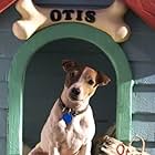 Otis