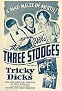 Moe Howard, Larry Fine, and Shemp Howard in Tricky Dicks (1953)