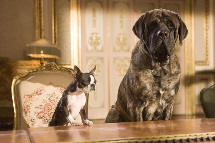 Hotel for Dogs (2009)