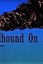 Hellhound on My Trail (2017)