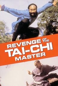 Primary photo for Revenge of the Tai-Chi Master