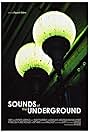 The Sounds of the Underground (2007)