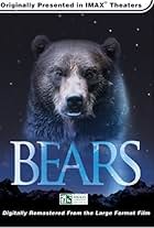 Bears (2004)