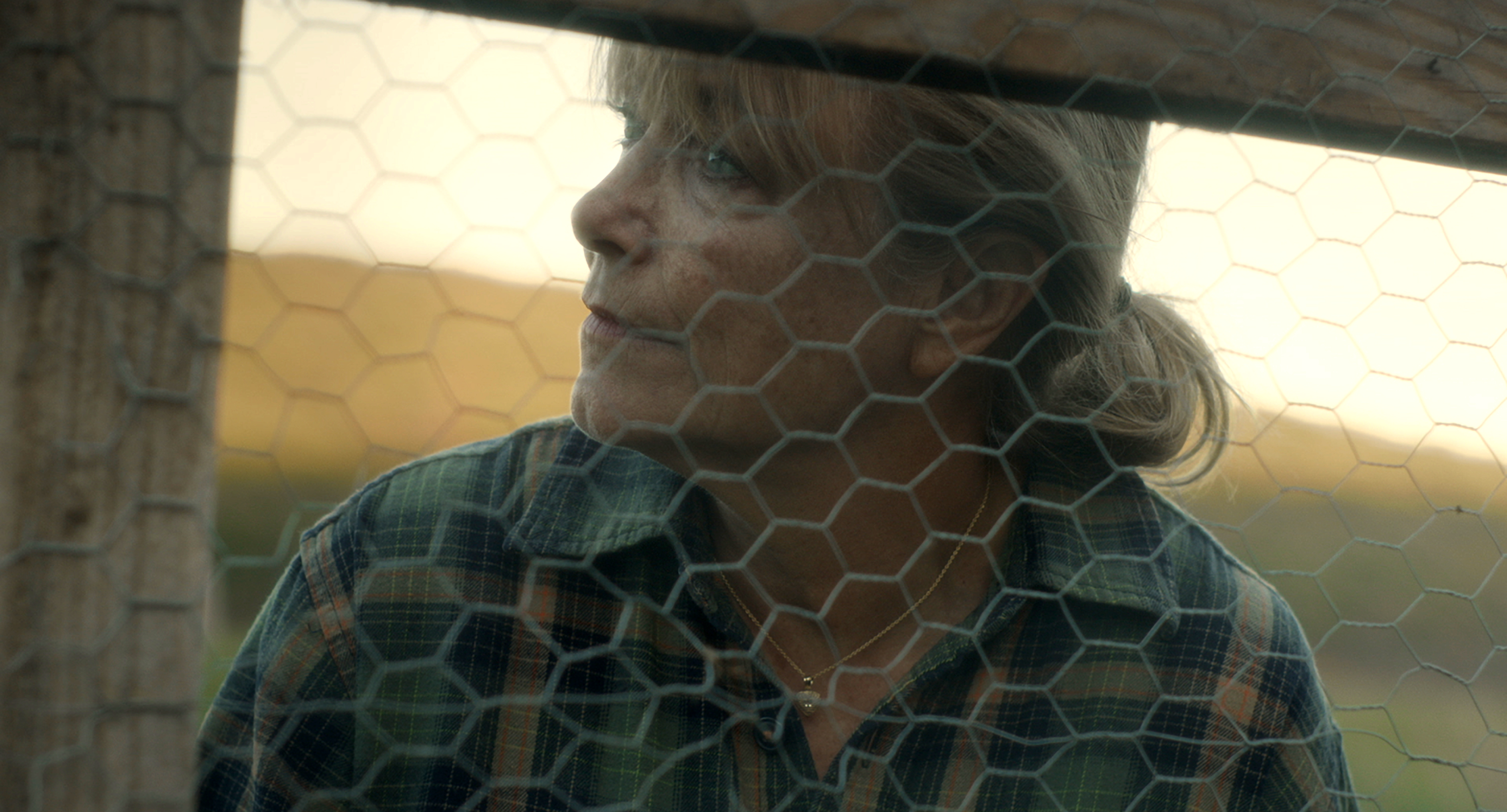 Karen Allen in Colewell (2019)