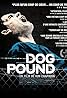 Dog Pound (2010) Poster