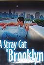 A Stray Cat in Brooklyn (2005)