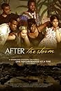 After the Storm (2009)