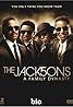 The Jacksons: A Family Dynasty (TV Series 2009–2010) Poster