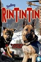 Finding Rin Tin Tin