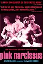 Pink Narcissus (1971)