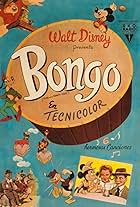 Bongo