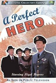 A Perfect Hero (1991)