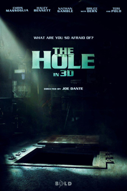 The Hole (2009)