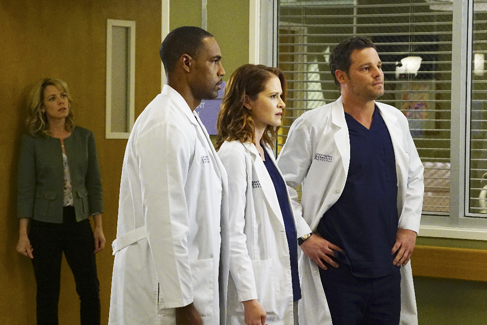 Justin Chambers, Sarah Drew, Jason George, and Rebecca McFarland in Grey's Anatomy (2005)