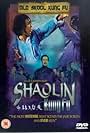 Shaolin Kung Fu (1994)