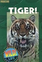 Tiger (1997)