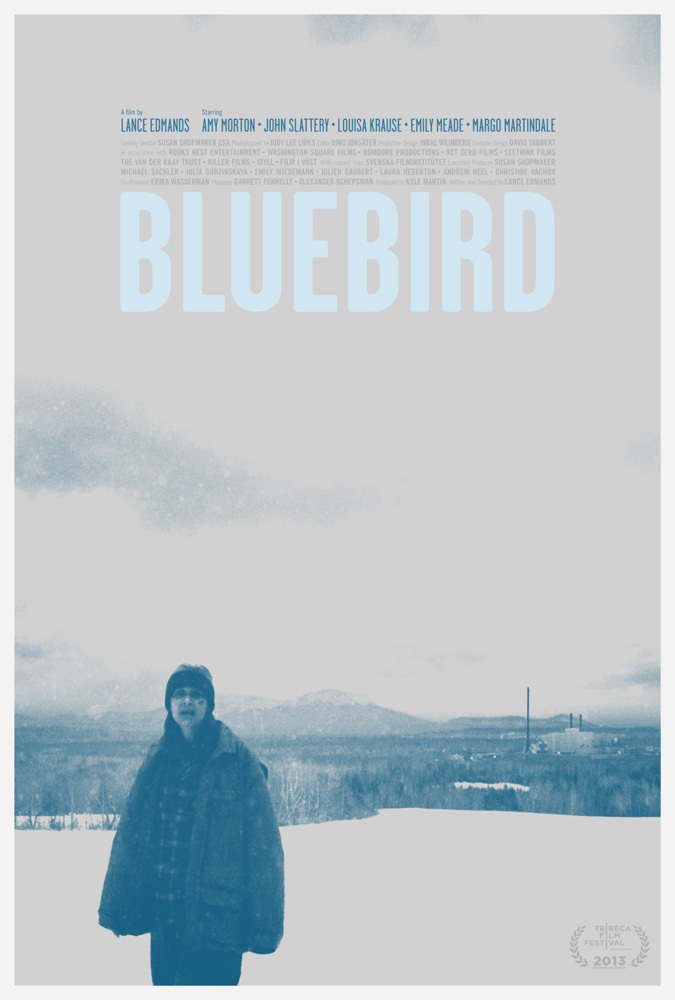 Margo Martindale, Amy Morton, John Slattery, Parisa Fitz-Henley, Emily Meade, Louisa Krause, Patrick Murney, Adam Driver, and Brandon Wardwell in Bluebird (2013)