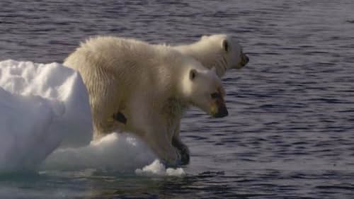 Frozen Planet (2011)