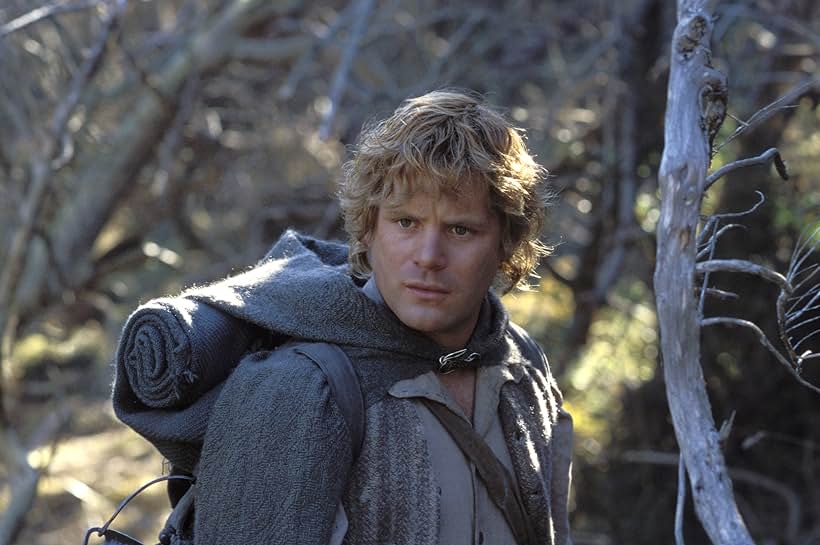 Sean Astin in The Lord of the Rings: The Return of the King (2003)