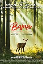 Bambi, l'histoire d'une vie dans les bois