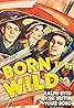 Born to Be Wild (1938) Poster