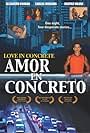 Amor en concreto (2004)