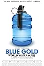 Blue Gold: World Water Wars (2008)